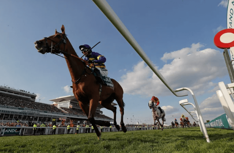 Horse Racing and Animal Rights: A Debate That Rages On